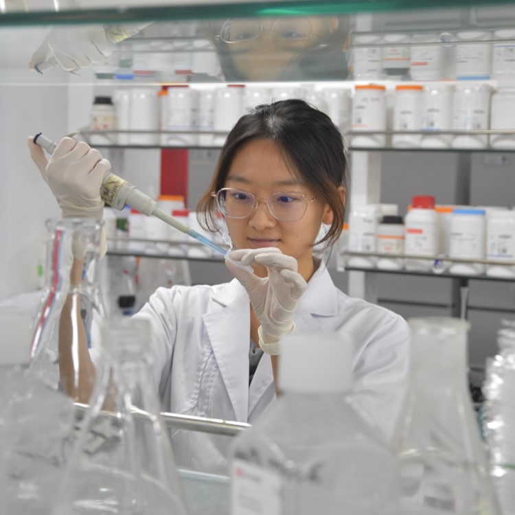 Jianan Zheng